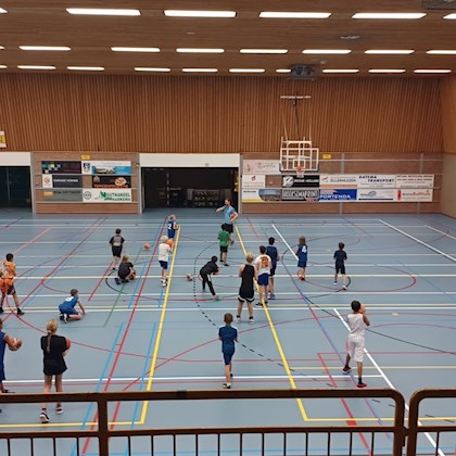 Bedum Blues Basketbal Mixtoernooi